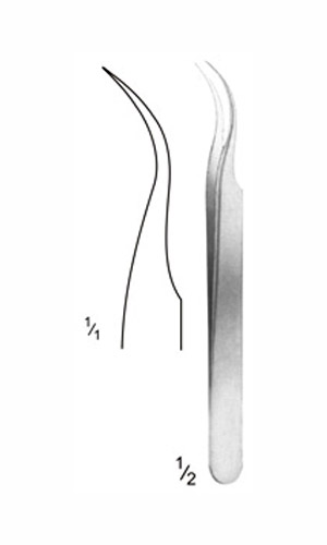 Jeweller Type Forceps